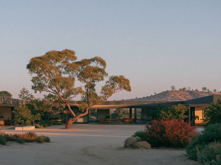 A courtyard in the middle of the house, a shade sail and one tree, the rooms opening onto it