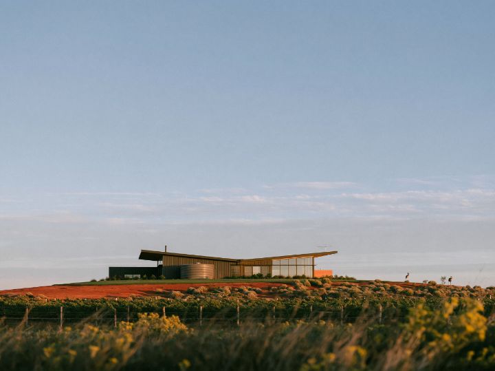 A butterfly roof over dark steel walls, a rainwater tank at the low point, red earth and vines