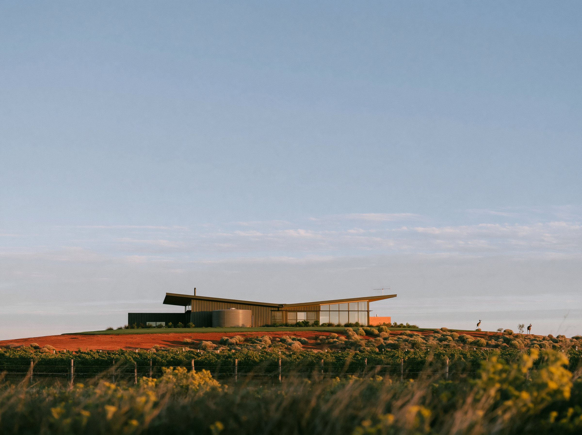 A butterfly roof over dark steel walls, a rainwater tank at the low point, red earth and vines