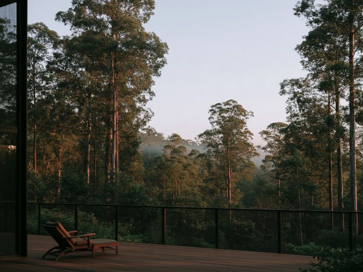 A deck screened in fine steel mesh, the trees beyond