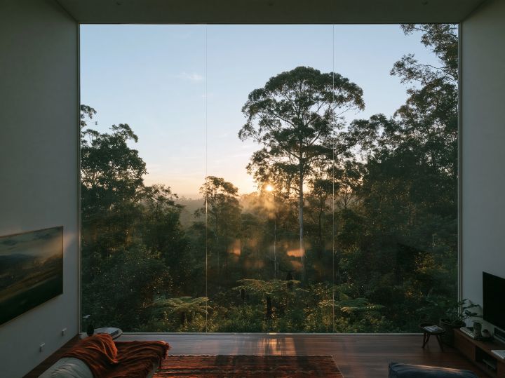 A double-height living room looking into the canopy